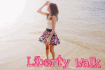 Liberty Walk [Elite] LW2a